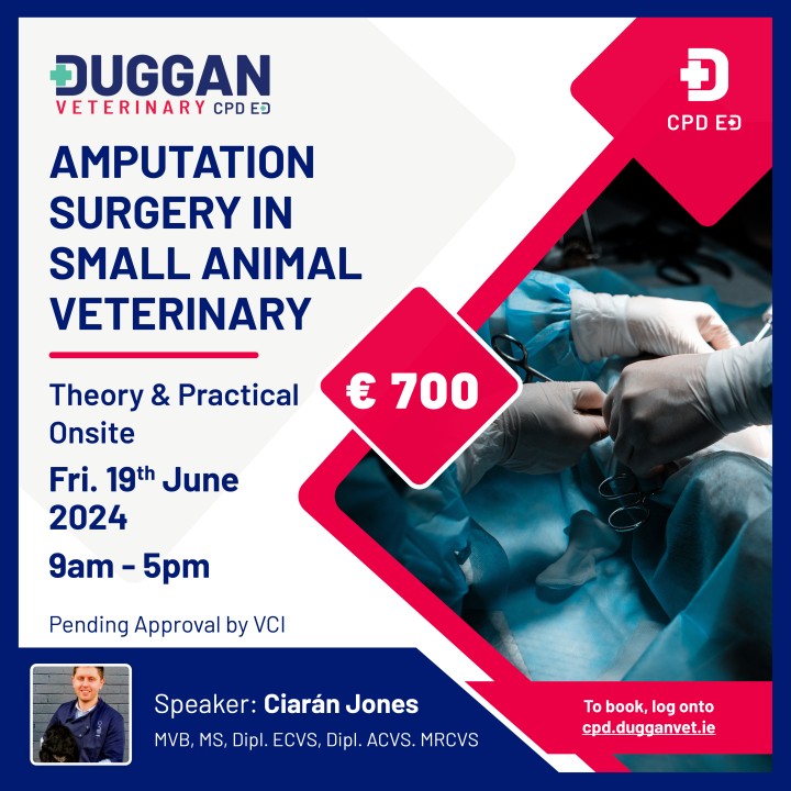 Amputation Surgery in small animal veterinary 