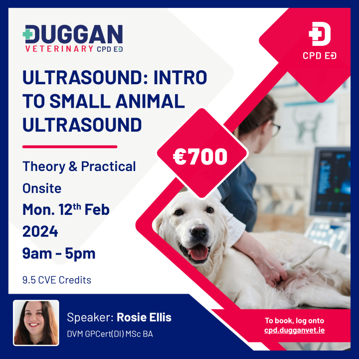 Ultrasound - An Introduction to Small Animal Ultrasound 