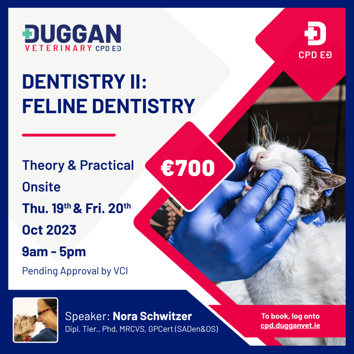 Dentistry II - Feline dentistry 