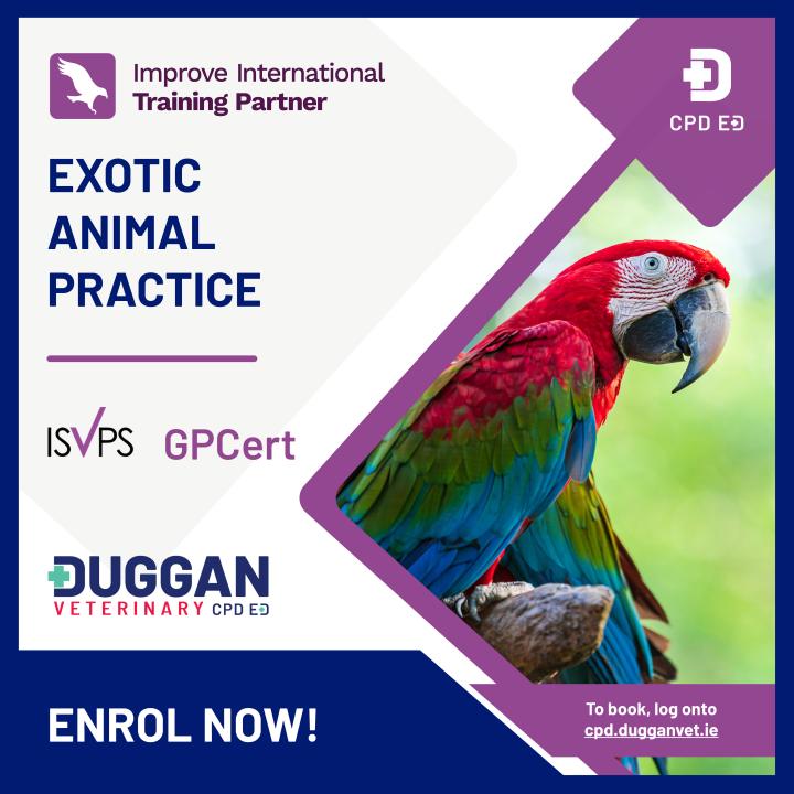 Improve International Exotic Animal Practice Online Learning