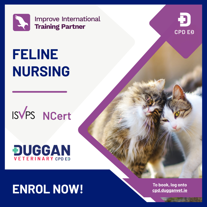 Improve International Feline Nursing 