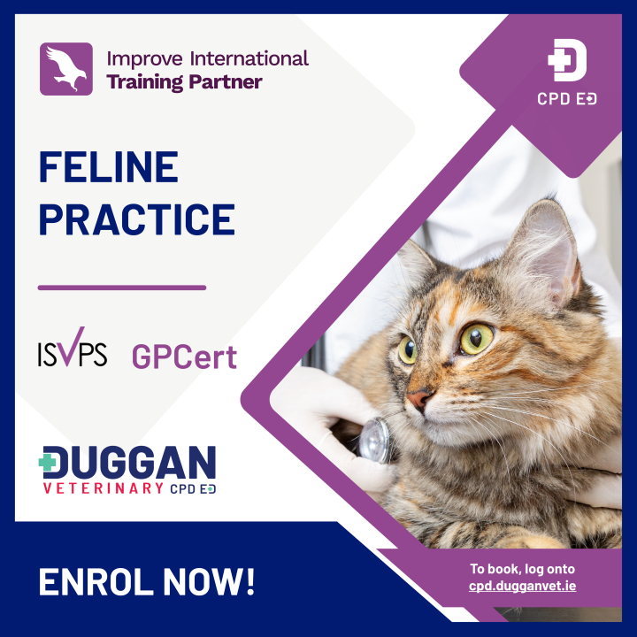 Improve International Feline Practice Online Learning 
