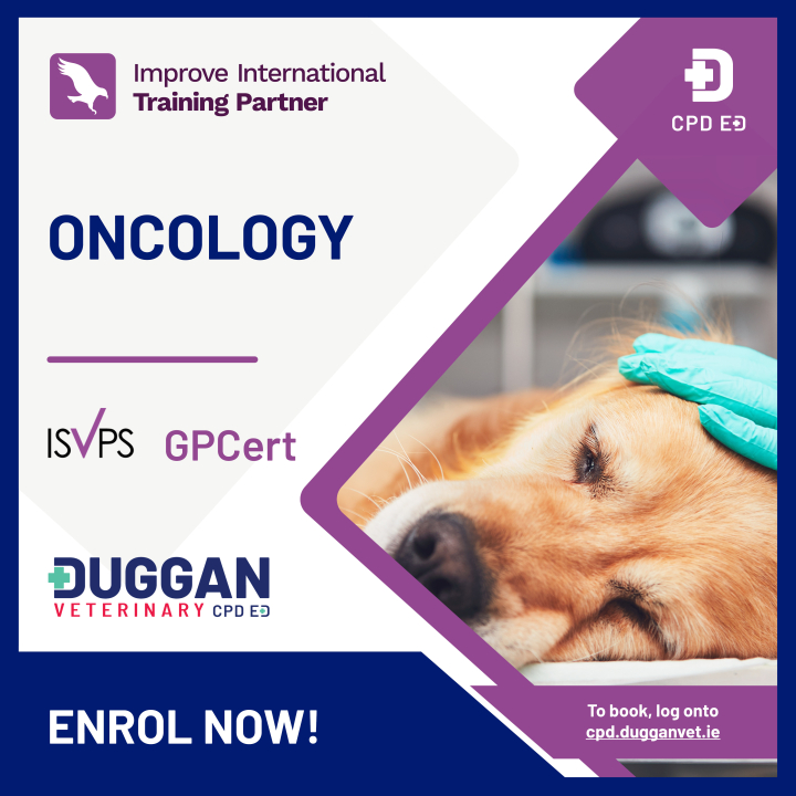 Improve International Oncology Online Learning