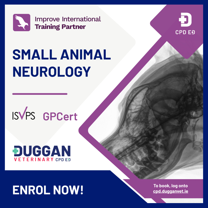 Improve International Small Animal Neurology Online