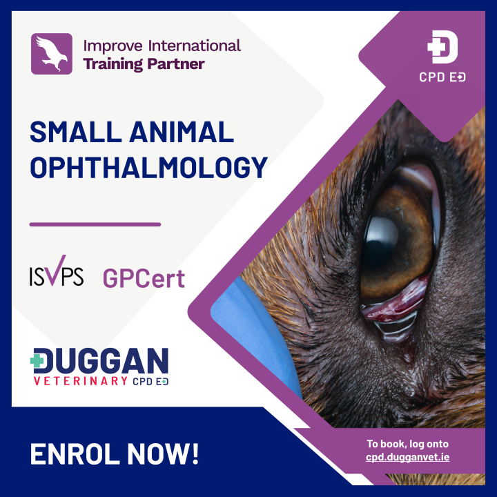 Improve International Ophthalmology Online Learning 
