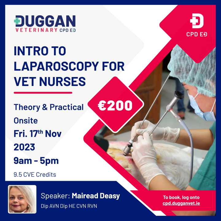 Introduction to Laparoscopy Course with Mairead Deasy 