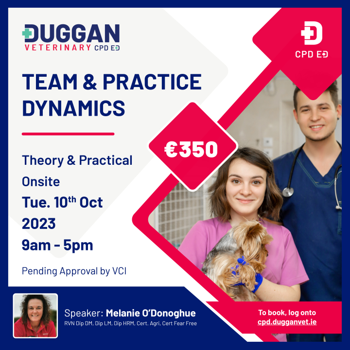 Team and practice dynamics - Do they work together