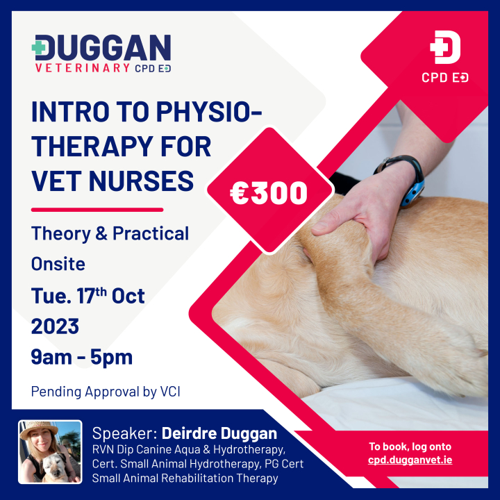 Introduction to canine rehabilitation for veterinary nurses 