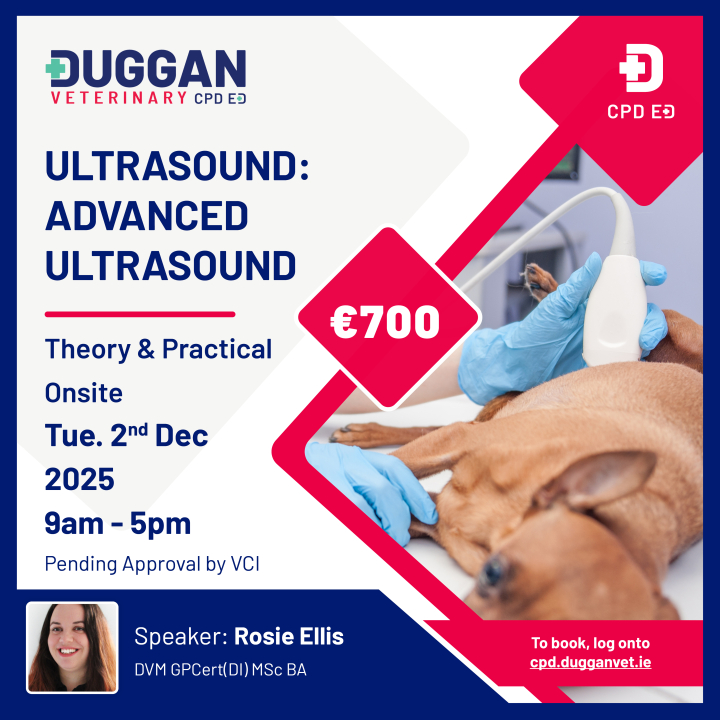 Advanced Ultrasound with Rosie Ellis 
