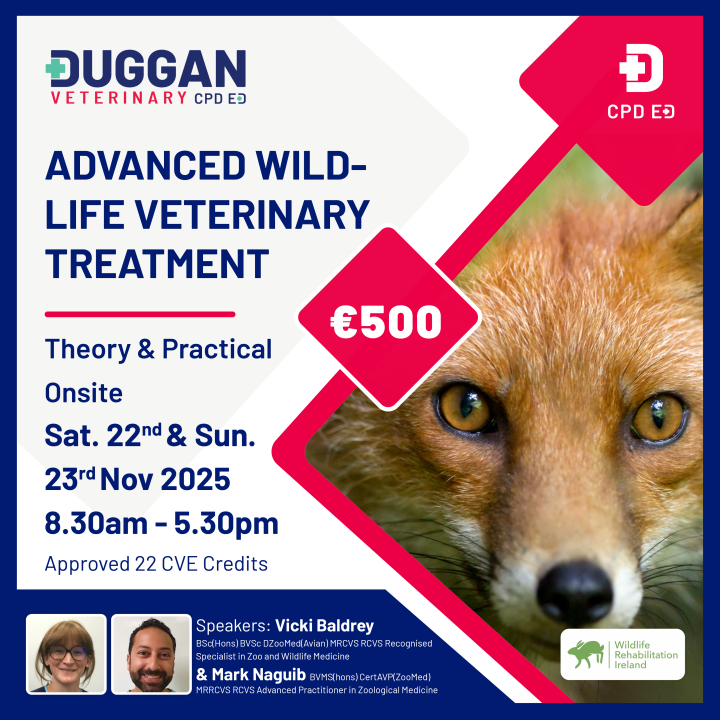 Advanced Wildlife Veterinary Treatment 2 day Course 
