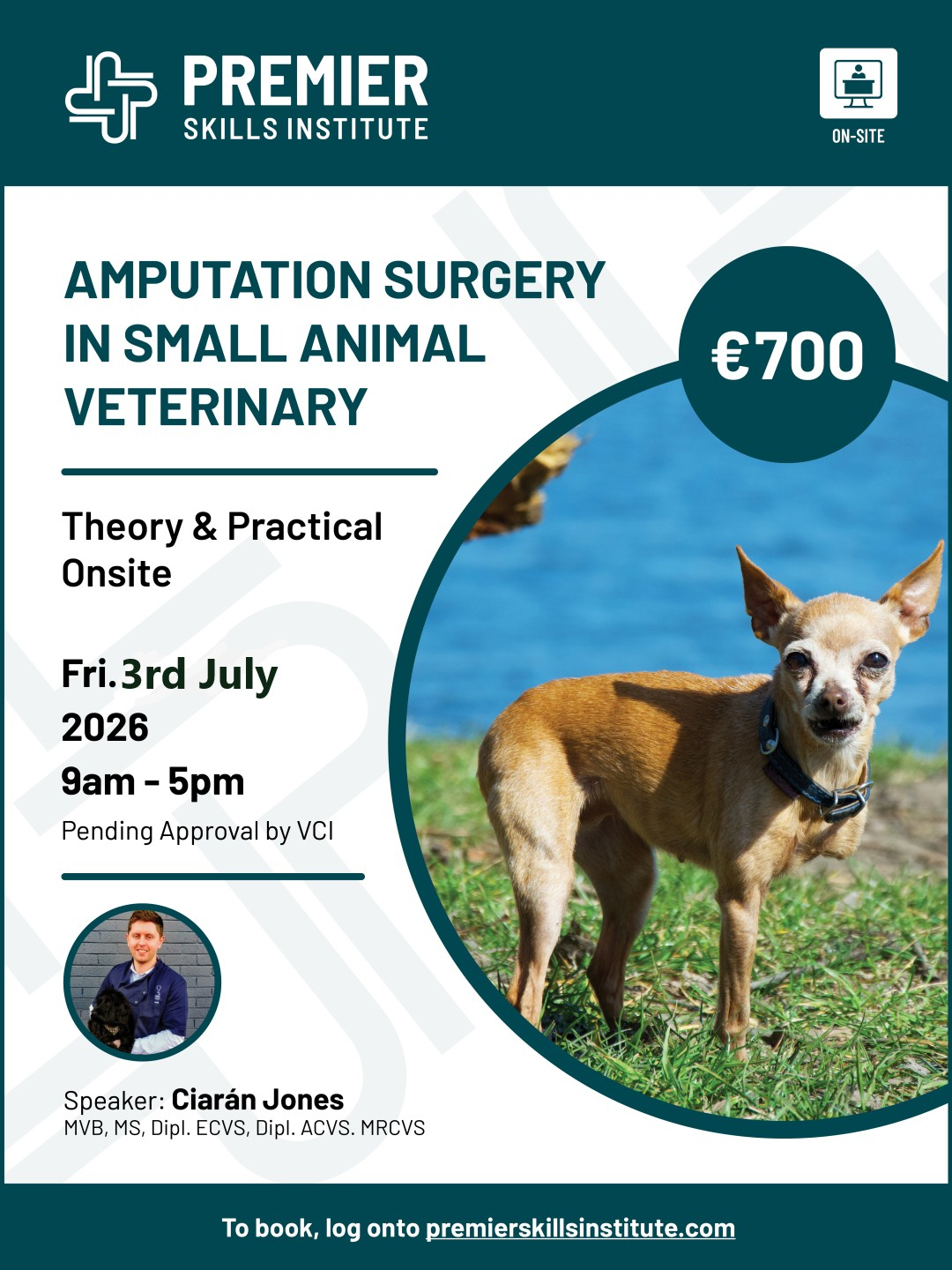 Amputation Surgery in small animal veterinary 