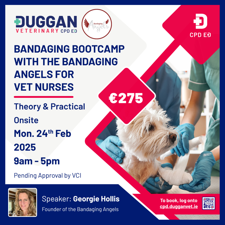 Bandaging Bootcamp with the Bandaging Angels 