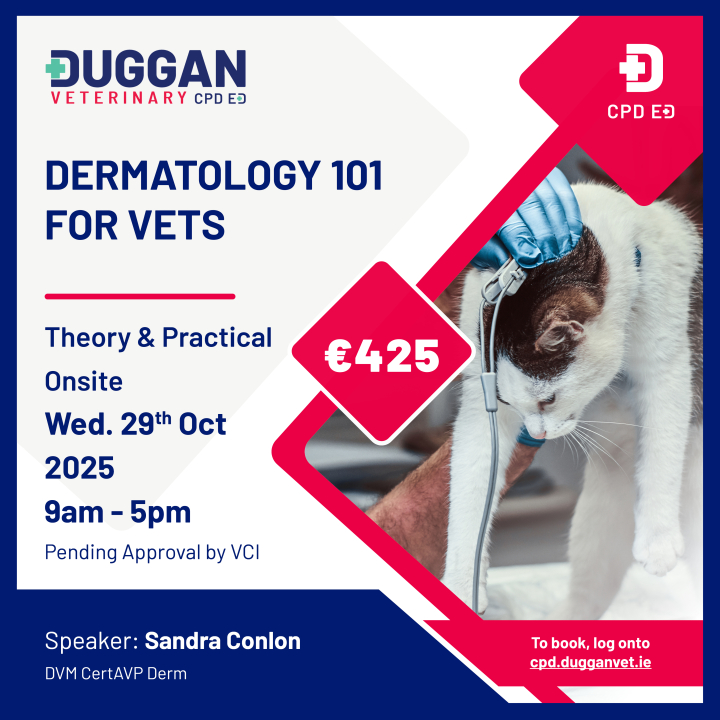 Dermatology 101 for veterinary practitioners with Sandra Conlon 