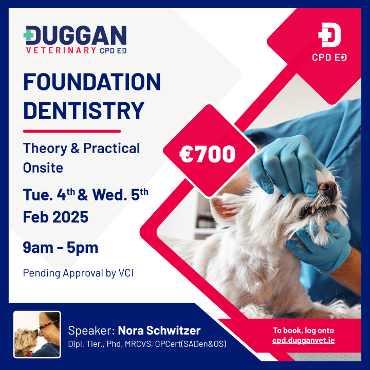 Foundation Dentistry: Sinking your teeth into small animal dentistry. 