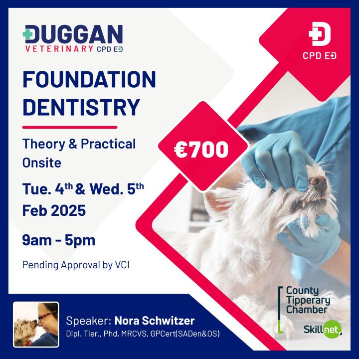 Foundation Dentistry: Sinking your teeth into small animal dentistry. 