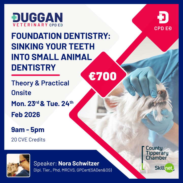 Foundation Dentistry: Sinking your teeth into small animal dentistry. 
