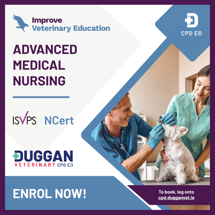 Improve Veterinary Education Advanced Certificate in Medical Nursing
