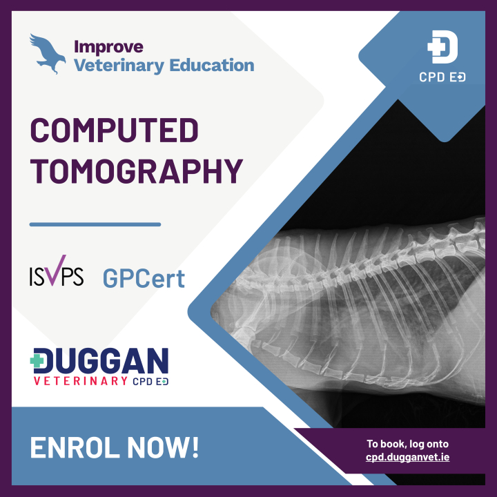 Improve International Computed Tomography Online