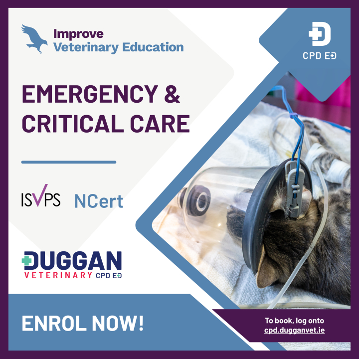 Improve International Nursing Certificate in Emergency & Critical Care Online 