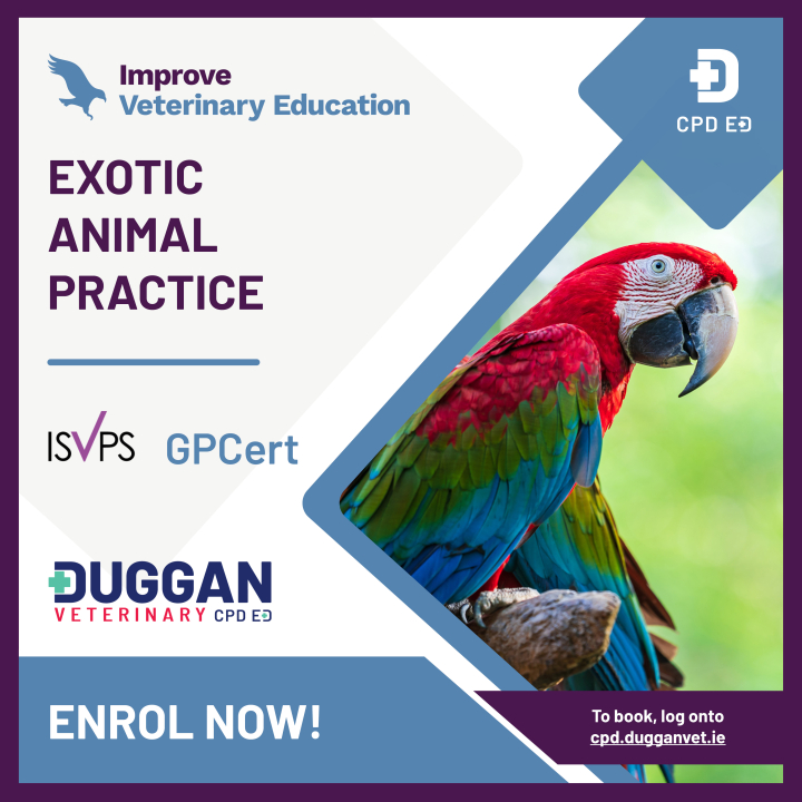 Improve International Exotic Animal Practice Online Learning