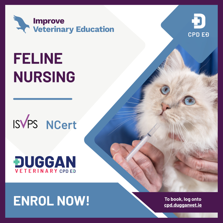 Improve Veterinary Education Feline Nursing 