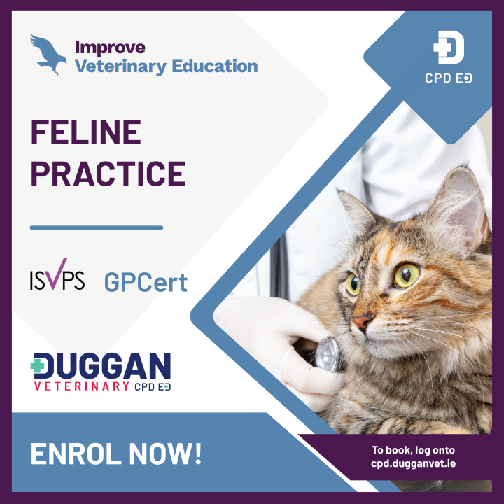 Improve Veterinary Education Feline Practice Online Learning 