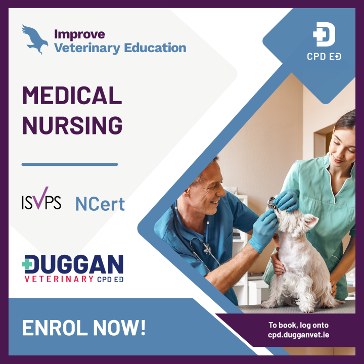 Improve International Medical Nursing Online Learning