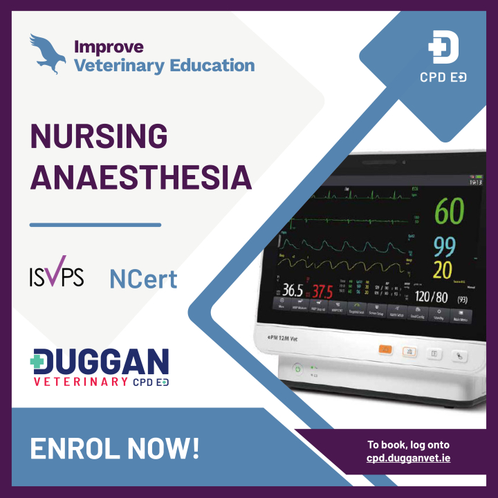 Improve International Nursing Anaesthesia Online Learning 