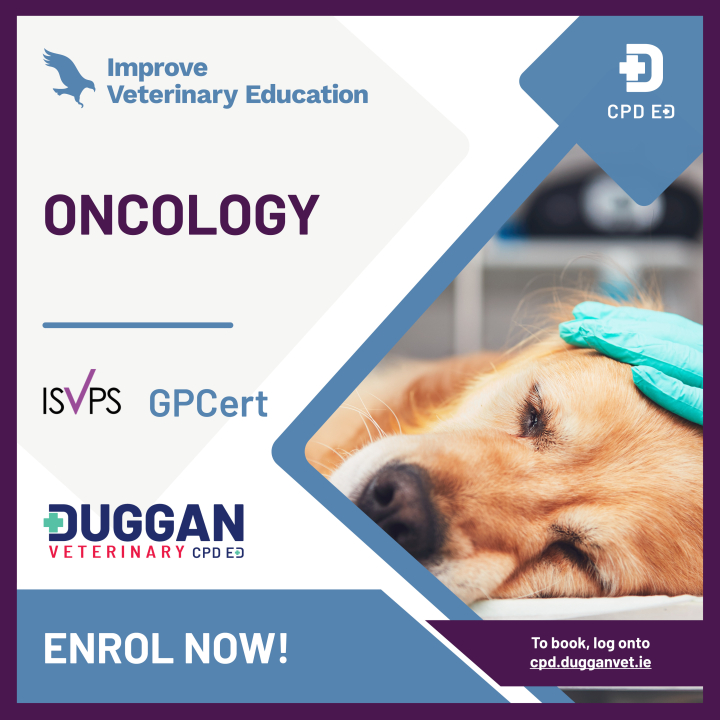 Improve International Oncology Online Learning