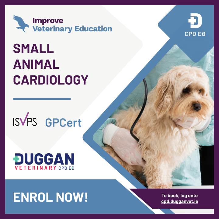 Improve International Cardiology Online Learning 