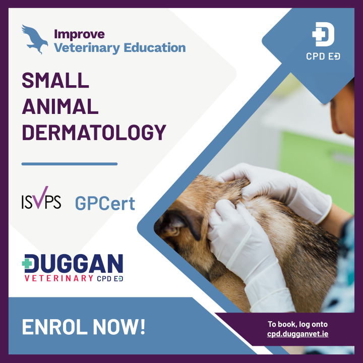 Improve Veterinary Education Dermatology Online learning 