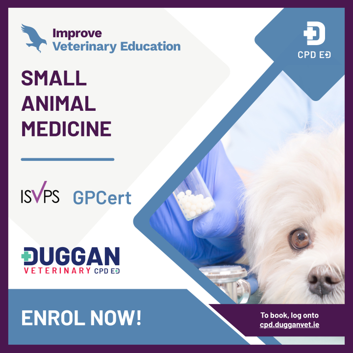 Improve Veterinary Education Small Animal Medicine Online Learning 