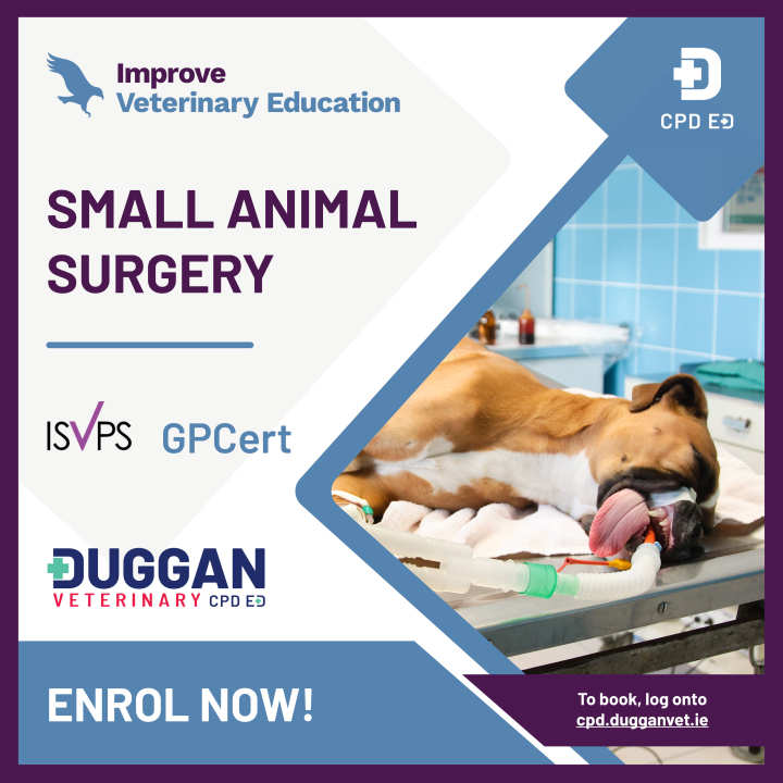Improve Veterinary Education Small Animal Surgery Blended learning