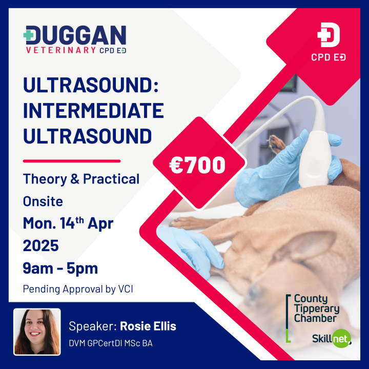 Ultrasound - Intermediate Ultrasound scanning 