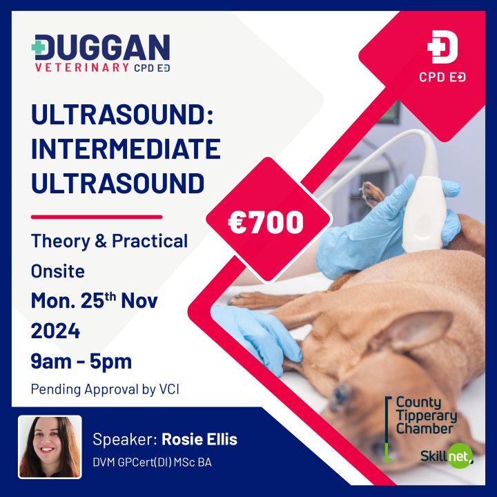 Ultrasound - Intermediate Ultrasound scanning 