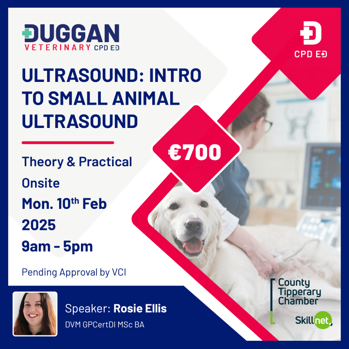Ultrasound - An Introduction to Small Animal Ultrasound 