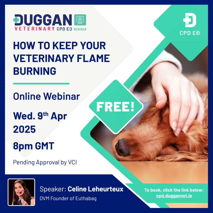 Webinar: How to keep your veterinary flame burning