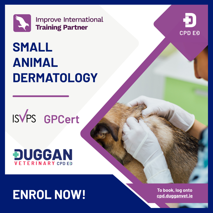 Improve International Dermatology Online learning 