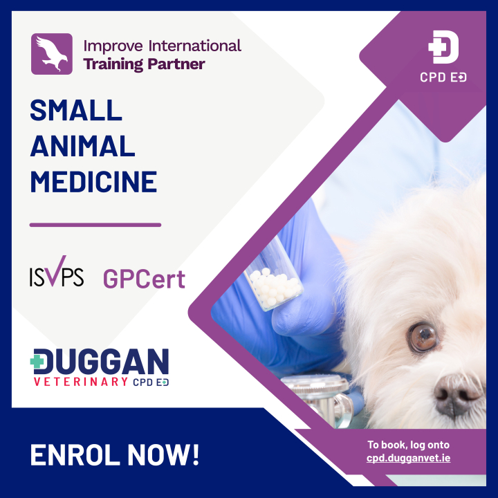 Improve International Small Animal Medicine Online Learning 