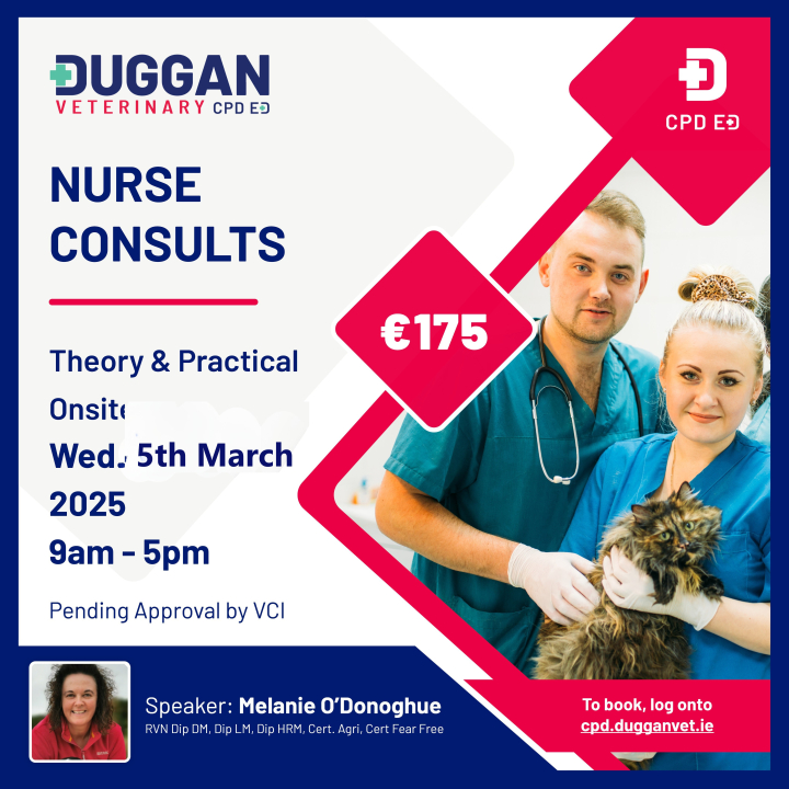 Nurse Consults - examine the possibilities!