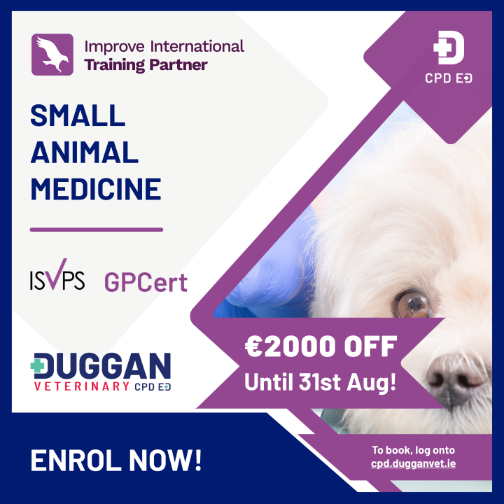 Improve International Small Animal Medicine Online Learning 