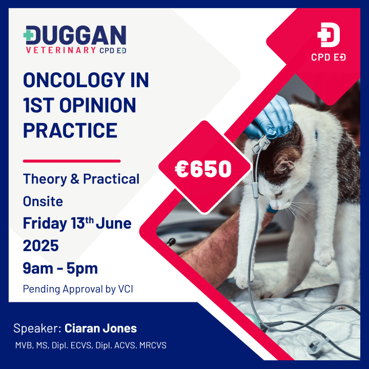 Oncology in 1st opinion practice with Ciaran Jones 