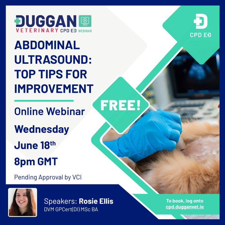 Webinar: Abdominal Ultrasound: Top Tips For Improvement