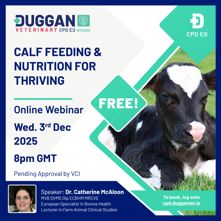 Webinar: Calf feeding & nutrition for thriving with Catherine McAloon
