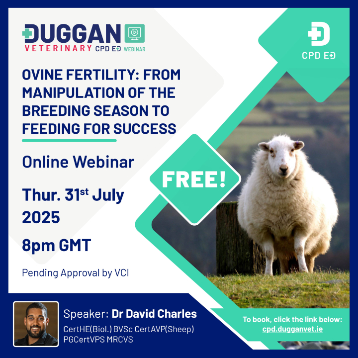 Webinar: OVINE FERTILITY - from manipulation of the breeding season to feeding for success