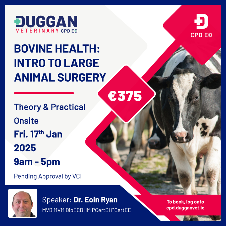 Bovine Health: Introduction to Large Animal surgery with Eoin Ryan 