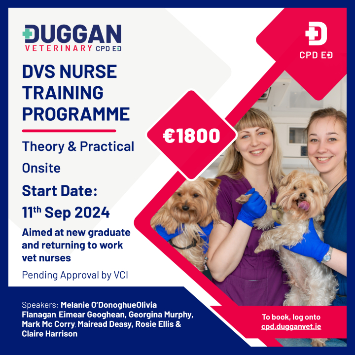 Duggan Veterinary's Nurse Training Programme: Aimed at new graduate and returning to work vet nurses