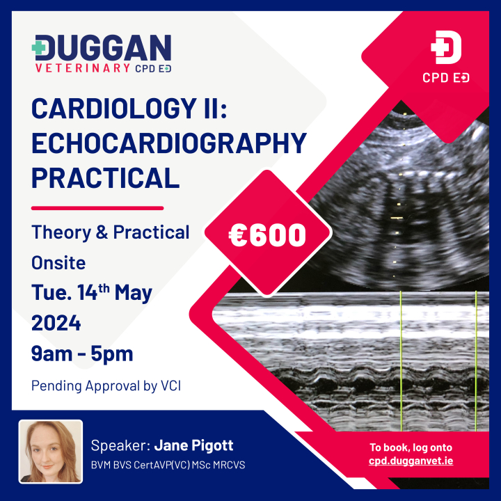 Cardiology II: Echocardiography Practical 