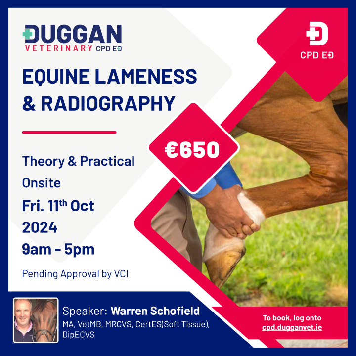 Equine Lameness & Radiography practical Day 
