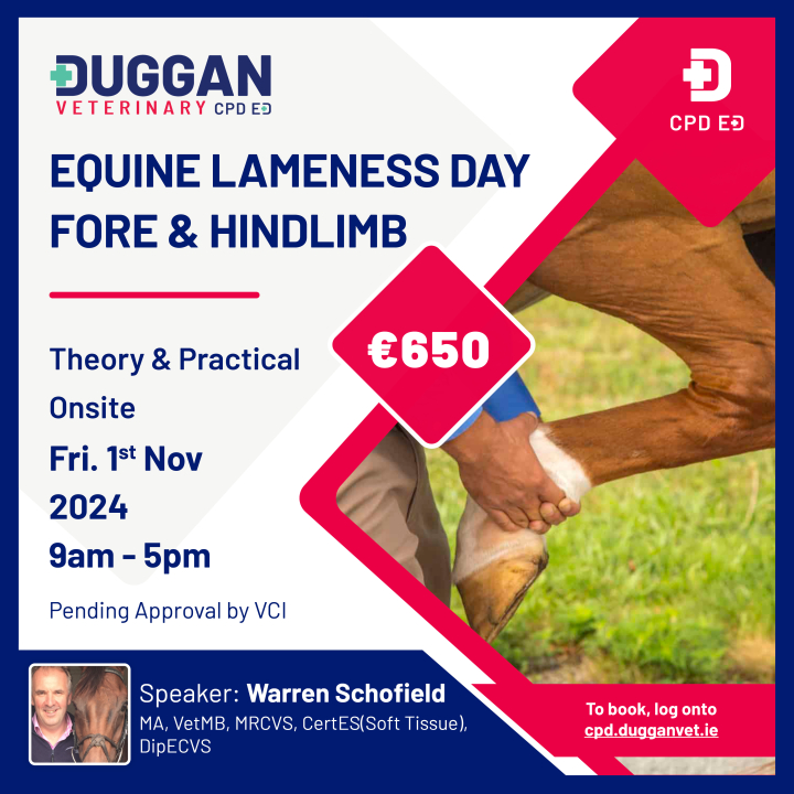 Equine Lameness Day Fore and Hindlimb - Seminar and Wetlab - Module 1